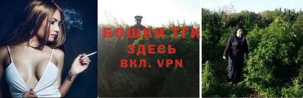 стаф Верея