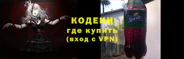 стаф Верея