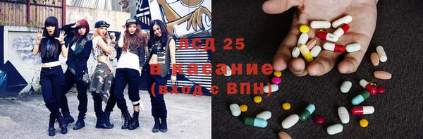 стаф Верея